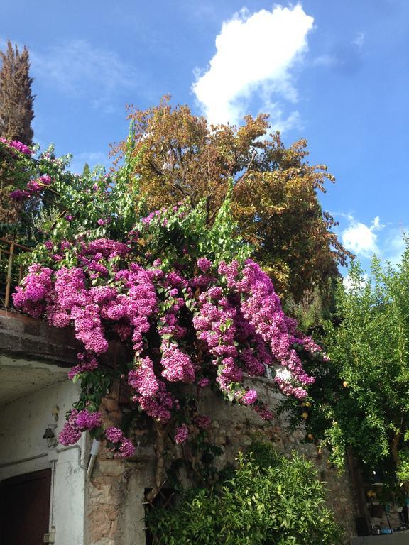 Villa Raoul ซาโล ภายนอก รูปภาพ